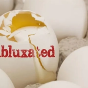 imagen de huevos con la cáscara en mal estado