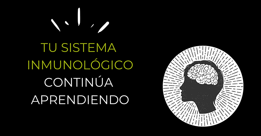 Tu sistema inmunológico continúa aprendiendo QUiropráctica Pura Vida Barcelona