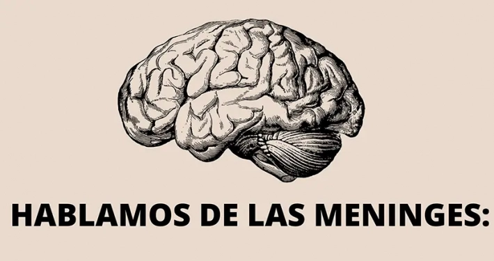 Imagen cerebro apra ilustrar eltema de las meninges en Quiropráctico Barcelona
