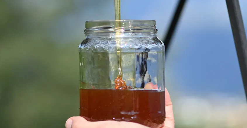 Imagen de tarro con miel llenándose Quiropráctico Barcelona