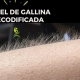 Imagen de brazo con piel de gallina