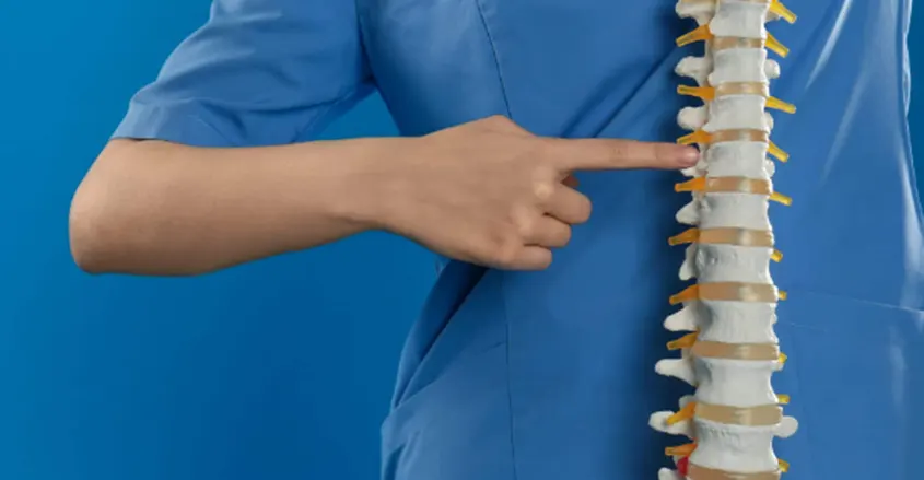 Quiropráctico señalando zonas de una columna vertebral para mostrar posibles problemas Pura Vida Barcelona